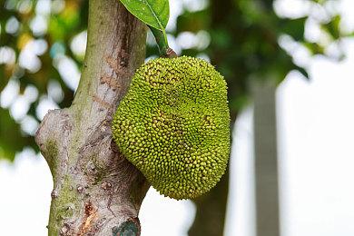 《异度神剑3》数字版开启预载 7月29日正式解锁